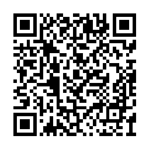 我无意再伤害到今晚已经受到了伤害的每一个人二维码生成