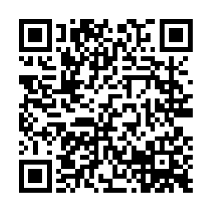 我既不想惊动什么三大势力和族长蒙不灭也不想离开蒙城二维码生成