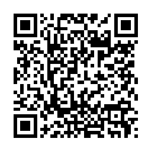 我早就说过这些狗崽子别搞那些华而不实的东西吓唬人二维码生成