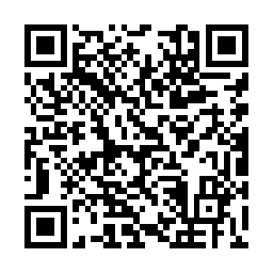 我早已送给了王后娘娘……你当成她的遗物送走了二维码生成