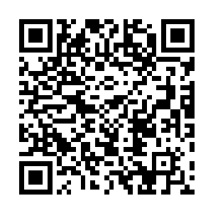 我早知道这瞭望塔会成为我和宋秋雨之间的最终决斗场所二维码生成