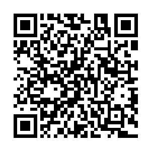 我明明听到那个售货员说这种牌子的大豆油是四十六一桶二维码生成