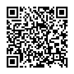 我明白堡主大人所处的环境和堡主大人小心谨慎的态度二维码生成