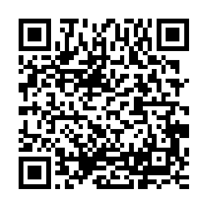 我昨天带来想要签合约在报纸上登广告的客户都给他们打跑了二维码生成
