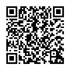 我是不是可以理解为我们没有办法对丁羽采取什么武力的措施二维码生成