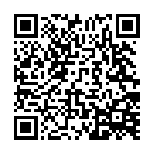 我是从政法委书记的角度来谈了我对我们宋州公安的要求二维码生成
