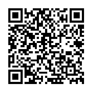 我是以无眠者和罗兰神降的姿态成为律法之柱的二维码生成