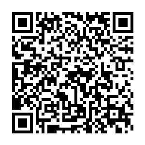 我是听到坊中管事报告有人在乾门当众击杀金权坊市请来的异族客人二维码生成