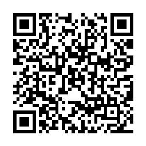 我是应该指责你的厚颜无耻还是恭唯你的随遇而安二维码生成