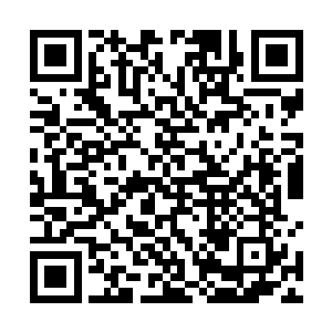 我是想起了之前师父确实是说过韩珊珊给什么封印住了二维码生成