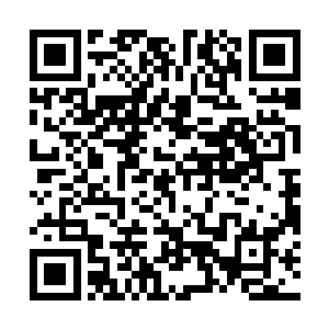 我是戴书记的秘书・我都不为他在外面奔bo呼喊的话二维码生成