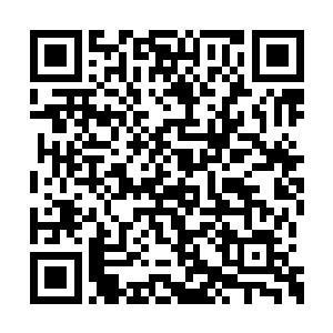 我是来看大火是怎么把你们盛家古宅化为灰烬的二维码生成