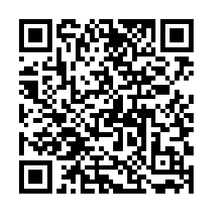 我是来询问关于你们领主带回的那十一头金牛的事情二维码生成