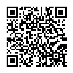 我是没什么可伤心难过的以我和李耀出生入死的冒险经历二维码生成