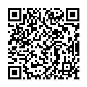 我是猪……我是猪……我他吗的真是一头猪……二维码生成