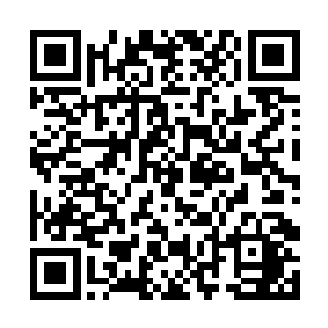 我是觉得她并不值得我为了救她而付出这样的代价的二维码生成