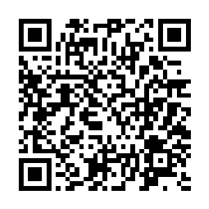 我是说炼制了这具骨器的大师完全开创了一个新的治疗流派二维码生成