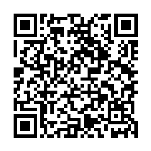 我是负责帮苏军长调查发生的林远市的一起恐怖组织案件二维码生成