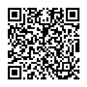 我是预祝你的胸脯有朝一日可以长的和这个尼玛的头一样大二维码生成