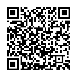 我曾在龙剑山庄的灵药名册上见到过这几个名字二维码生成