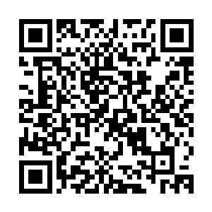 我曾经尝试着指导那名演员在被匕首刺入的时候该发出什么声音二维码生成