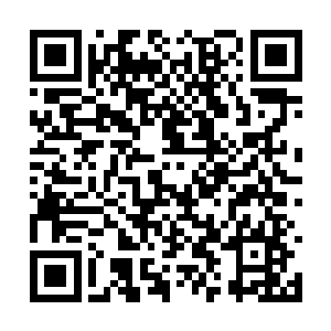 我曾经看到过一个手无寸铁的人被一头凶猛的老虎二维码生成