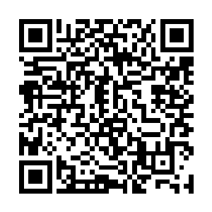 我曾见过不到一百平方米的一个角落有八十七个弹坑二维码生成