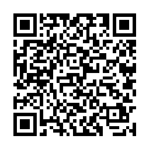 我最怕的就是雪女和小白这两个小朋友不知道收敛二维码生成