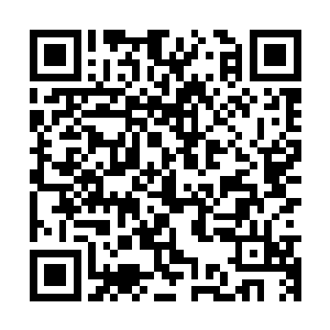 我有个理论――也许r287号蛋白质在结合了基因片段后确实无害二维码生成