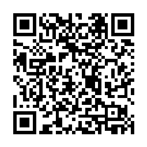 我有着不遵循正规语法而纯凭第一印象捕捉词句的习惯二维码生成