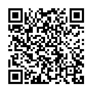 我望向那站在不远处茫茫云海之中的一身黑色羽毛的中年男子二维码生成