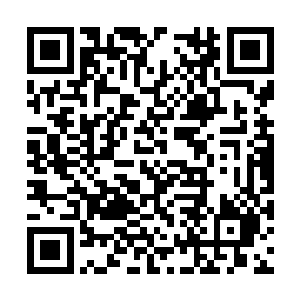 我期待了史密斯张大导演的这部电影整整半年多了二维码生成