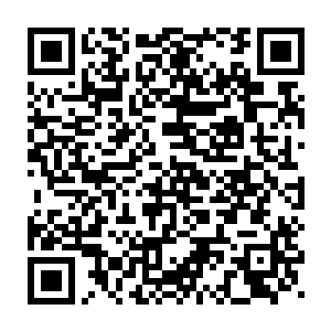 我木子还是平生第一次败得这么憋屈……连既定目标本人都没见着二维码生成