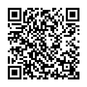我本想说我不知道自己上辈子做了什么恶事……回头看了眼领导二维码生成