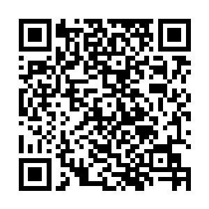 我本来之所以回九仙宫也是为了想办法去天脉雪陆找你二维码生成