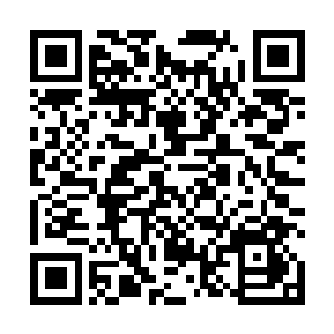 我本来也没指望你们能对天道无止境的仙家起什么作用二维码生成