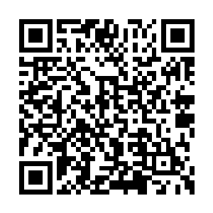 我本来可以在他的营地附近等着和我们的人汇合二维码生成