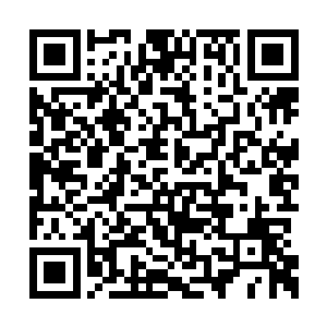 我本来就不太想演主角……所以……所以就……二维码生成