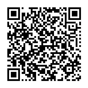 我本来想打算从崮山风景区野味山庄的老板王世辉那里请来一个厨师二维码生成