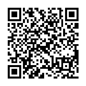 我本来还以为你们两个为了出去约会故意找理由旷课呢二维码生成