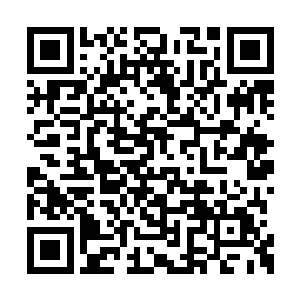 我本来还以为你在荆棘花团里头的威名很有用呢二维码生成