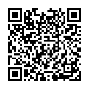 我本来还以为兄弟会诸位当家当真知道叶某人艺高二维码生成