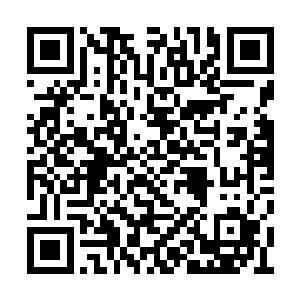 我机缘巧合之下帮助两位姑娘解决了一点点麻烦二维码生成