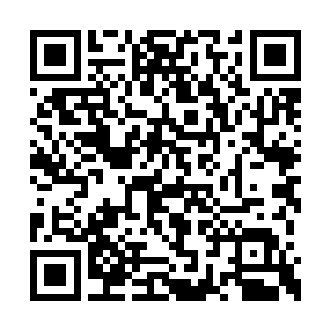 我权有才可以破例的将这些经验与心得传授给你二维码生成
