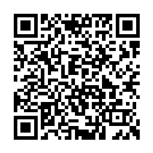 我来之时让团员们每小时汇报一次那边的情况的二维码生成
