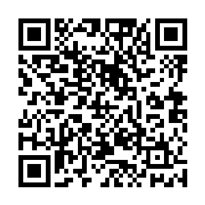 我来百圣城只是想与这里的诸方势力交换一些神晶而已二维码生成