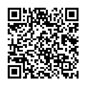 我来这里不买水果难道我们四四个人还凑成一桌麻将二维码生成