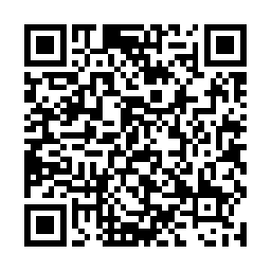 我杨中兴怎么会生了你这么一个不知好歹的混账儿子二维码生成