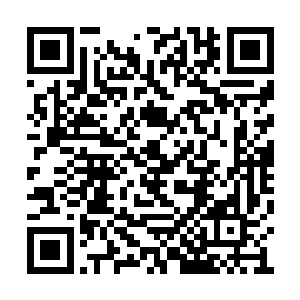 我查探到了幽泉老祖之所以不在一开始开诚布公二维码生成