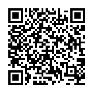 我根本没什么办法一下除掉康端亲王和铃木天雄以及坂田冈姆二维码生成